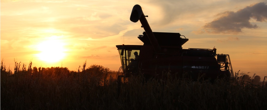 Combine at sunset